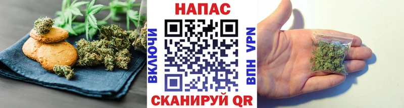 Canna-Cookies марихуана  Купить  Родники 