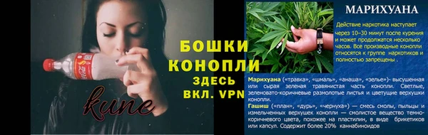 дмт Инта