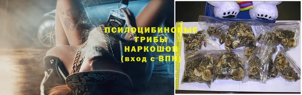 2c-b Иннополис