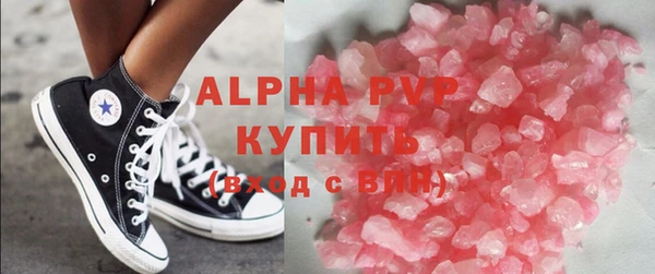 дмт Инта