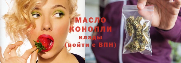 дмт Инта
