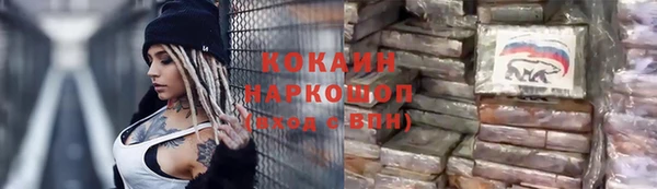 дмт Инта