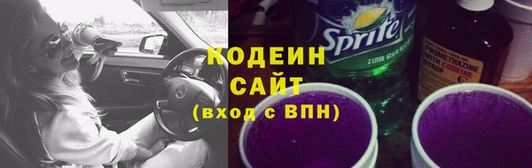 дмт Инта