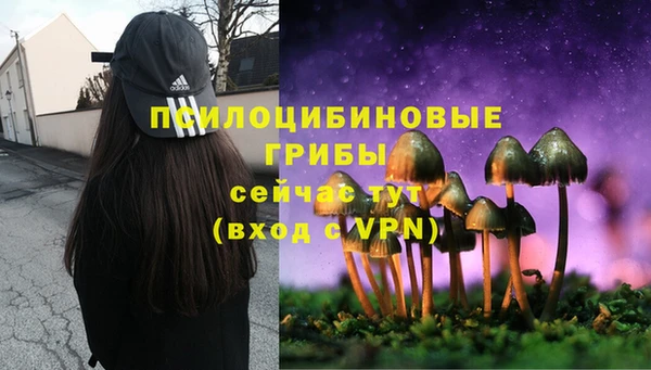2c-b Иннополис
