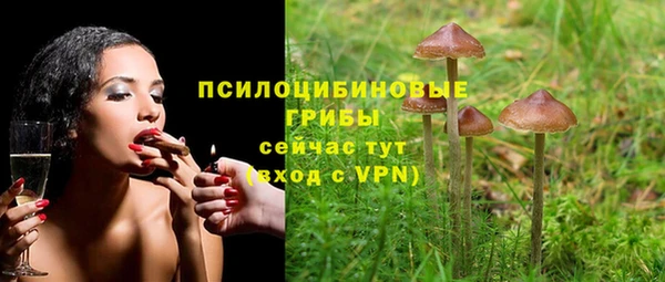 дмт Инта