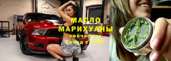 дмт Инта