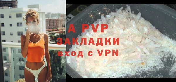 дмт Инта