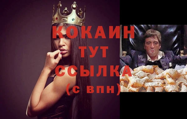 дмт Инта