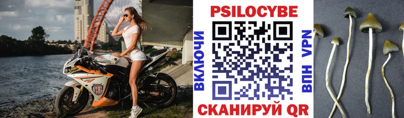 Купить  Родники  Псилоцибиновые грибы мухоморы 